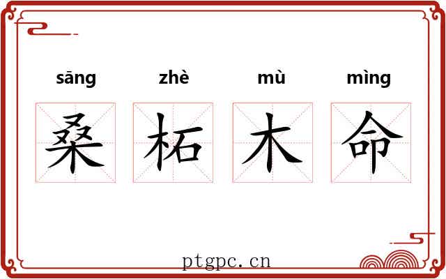桑柘木命 桑柘木命
