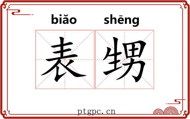 表甥 表甥