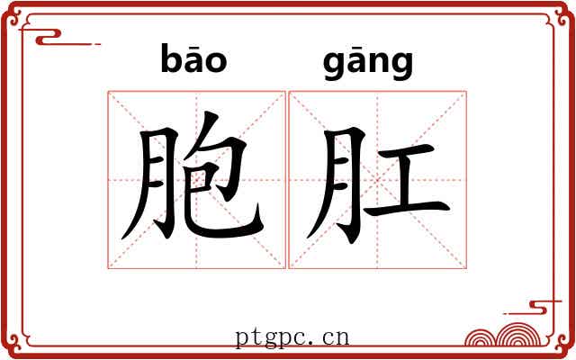 胞肛