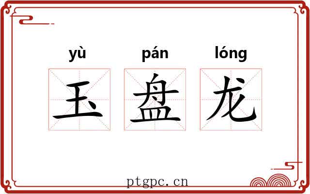 玉盘龙