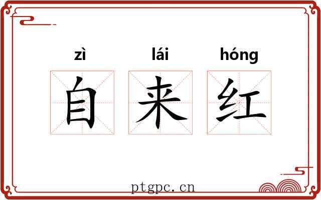 自来红 自来红