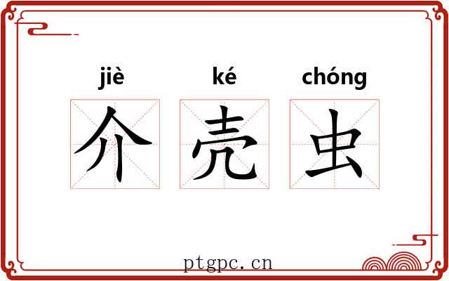 介壳虫 介壳虫