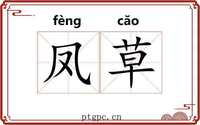 凤草 凤草