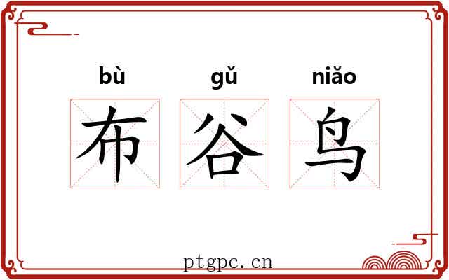 布谷鸟