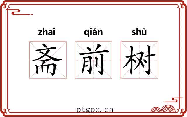 斋前树