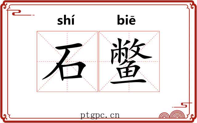 石鳖 石鳖