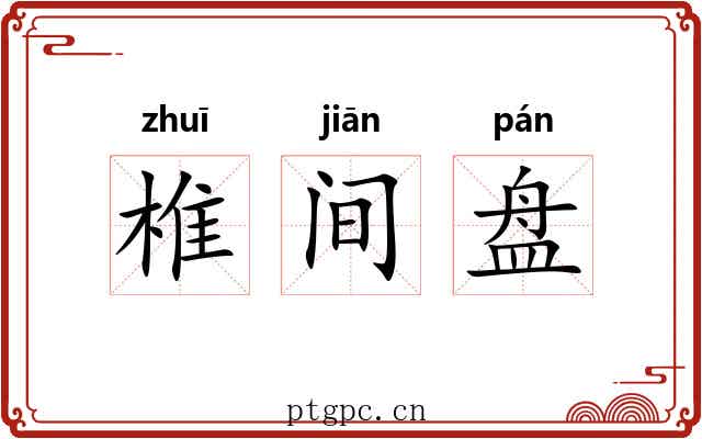椎间盘
