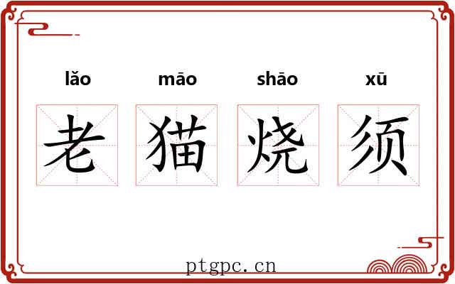 老猫烧须 老猫烧须