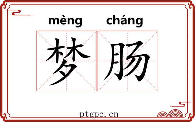 梦肠 梦肠