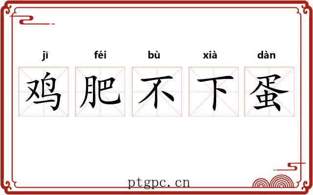 鸡肥不下蛋