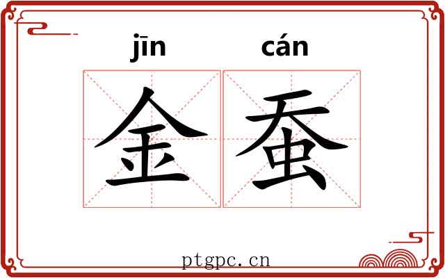 金蚕