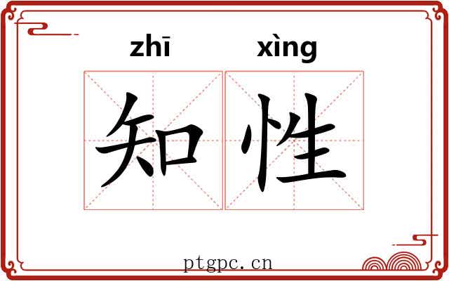知性 知性