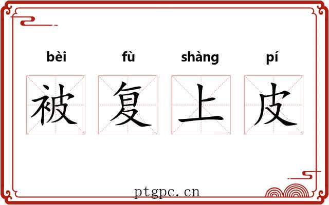 被复上皮 被复上皮