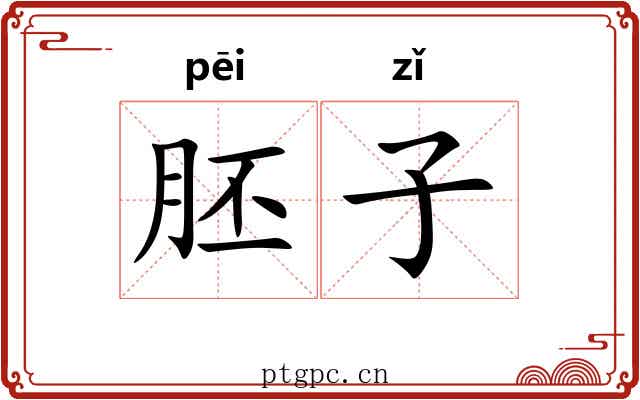 胚子