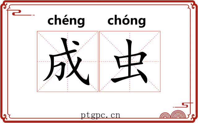 成虫 成虫