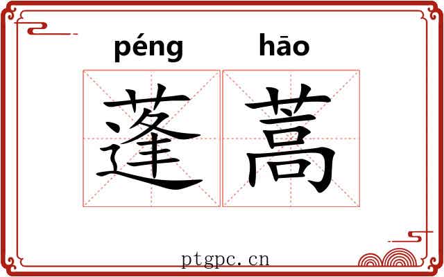 蓬蒿 蓬蒿