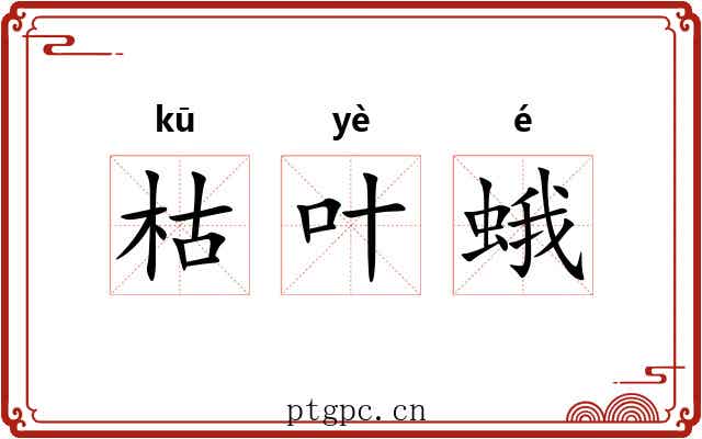 枯叶蛾 枯叶蛾