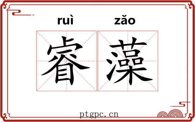 睿藻 睿藻