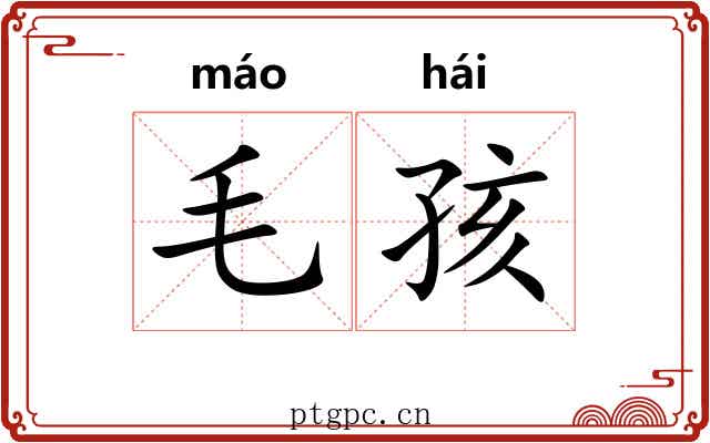 毛孩