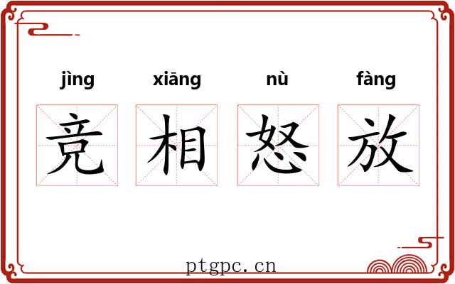 竞相怒放