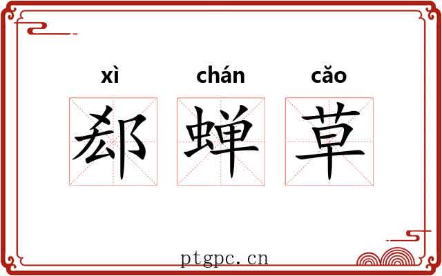 郄蝉草 郄蝉草