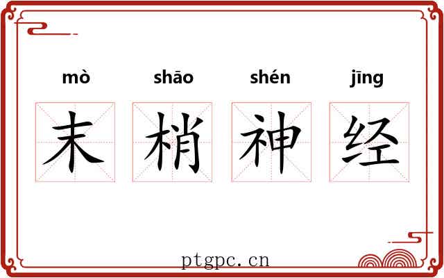 末梢神经
