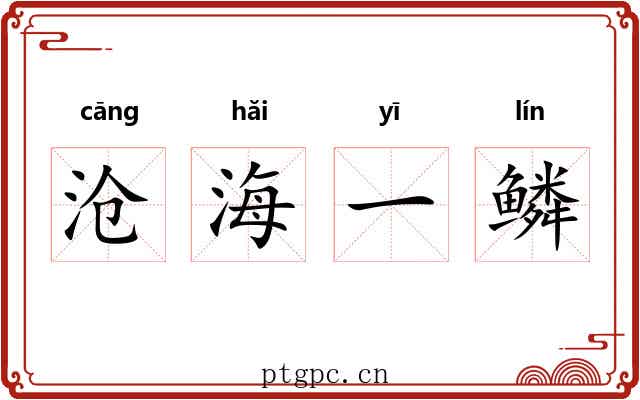 沧海一鳞