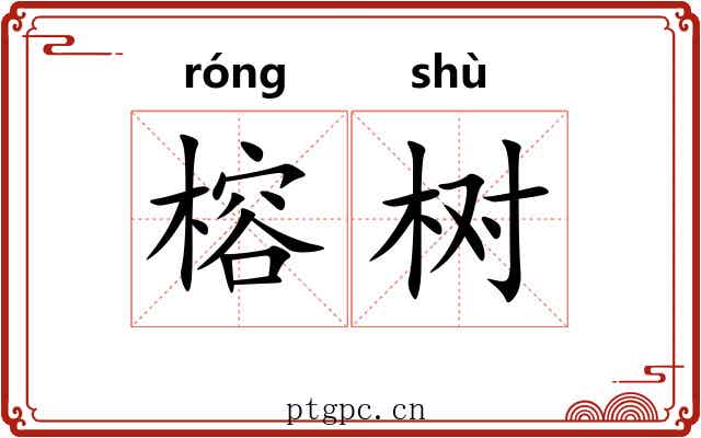 榕树