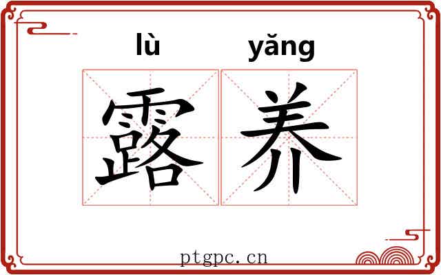 露养 露养