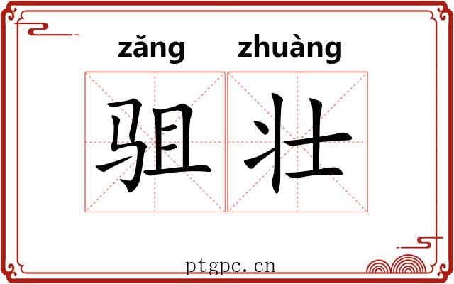 驵壮