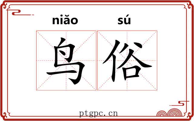 鸟俗