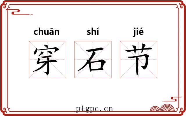 穿石节