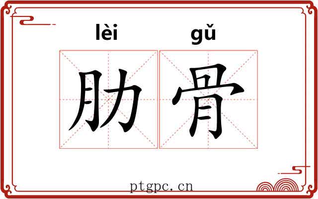 肋骨 肋骨