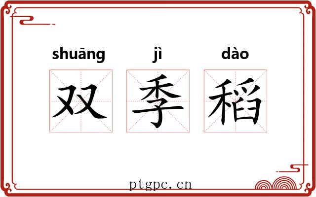 双季稻