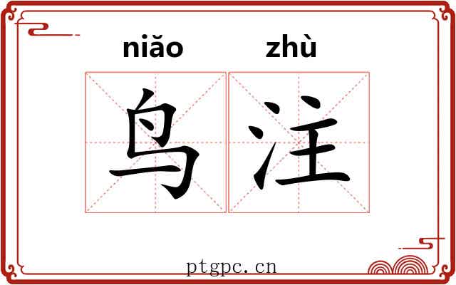 鸟注