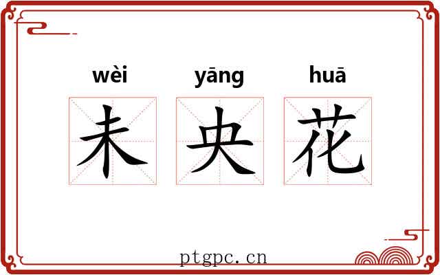 未央花