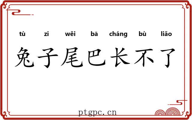 兔子尾巴长不了 兔子尾巴长不了