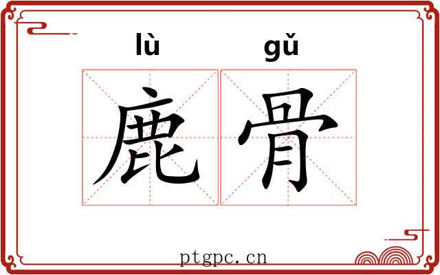 鹿骨 鹿骨