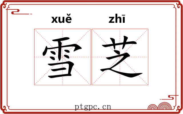 雪芝