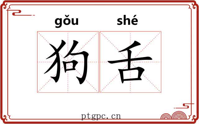 狗舌 狗舌