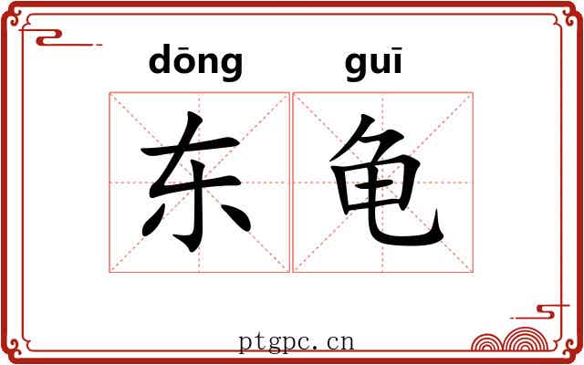 东龟