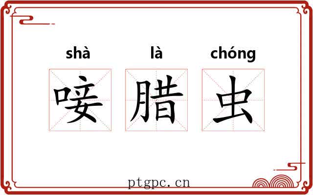 唼腊虫