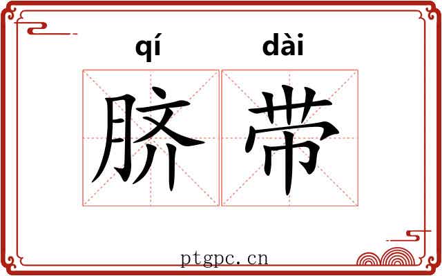 脐带