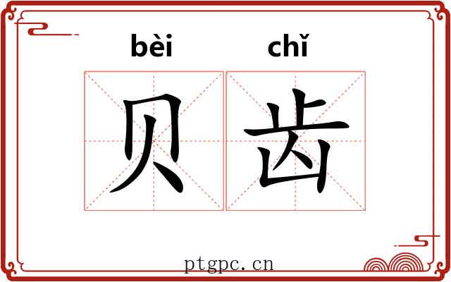 贝齿 贝齿