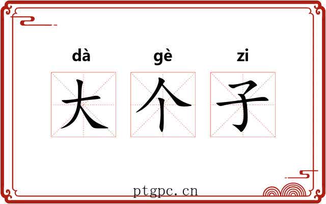大个子