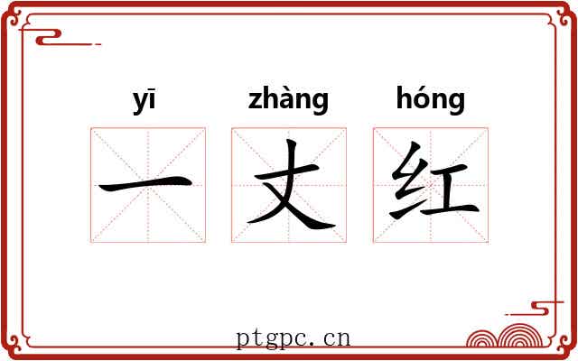 一丈红 一丈红