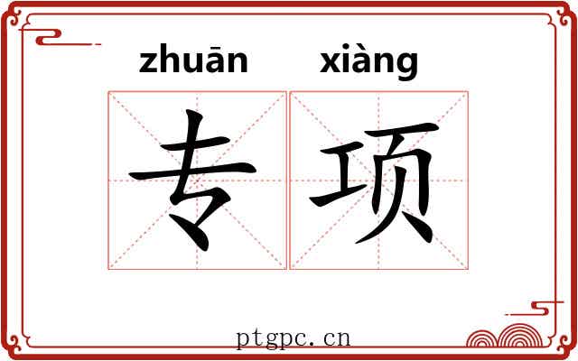 专项
