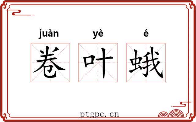 卷叶蛾 卷叶蛾