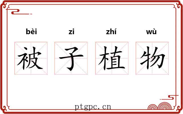 被子植物