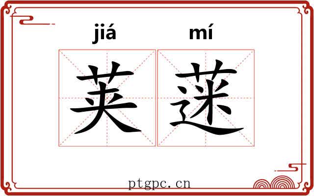 荚蒾